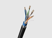 Belden Copper Ethernet Cable image