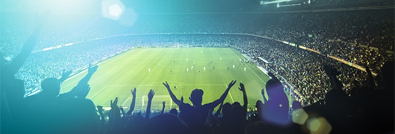 Sports and Entertainment Venue Solutions