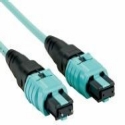 Panduit PanMPO™ Fiber Cable Assemblies image