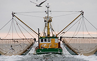 Soluciones para Pesca