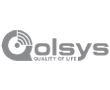 Logo de qolsys